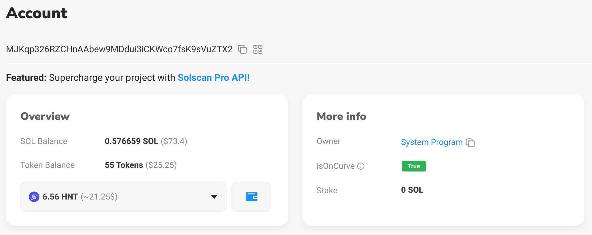 An image showing how to view wallet accounts on SolScan.