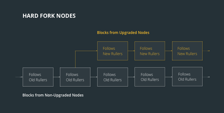 An illustrative example of hard fork nodes in a blockchain.