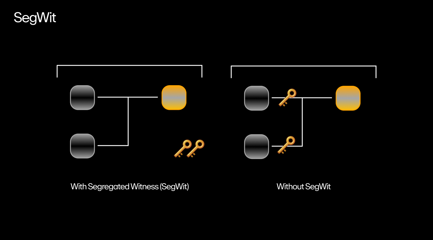 A flowchart of a SegWit (Segregated Witness) transaction